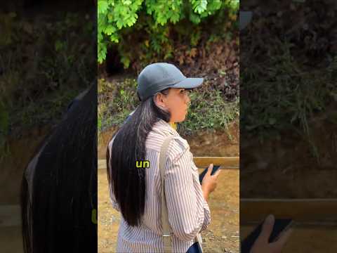 🏗️Actualmente se construyen 36 metros de placa huella en la 🛣️vía de la vereda el Cedro.