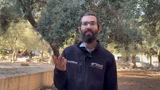 הצגת סוגית מינוי מלך בימינו | הרב רועי זאגא (ישיבת הר הבית) - התמונה מוצגת ישירות מתוך אתר האינטרנט יוטיוב. זכויות היוצרים בתמונה שייכות ליוצרה. קישור קרדיט למקור התוכן נמצא בתוך דף הסרטון