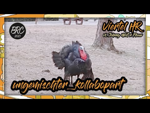 ungemischter_kollabopart (feat. Rayne) vs. Johnny West x Flouw || Viertel HR || prod. by Necro