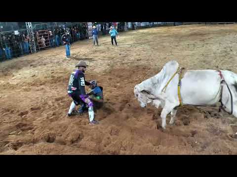 RODEIO EM TOUROS- SANTO ANTÔNIO DA ALEGRIA -SP   #rodeioemtouros #rodeio #montariasemtouros 
