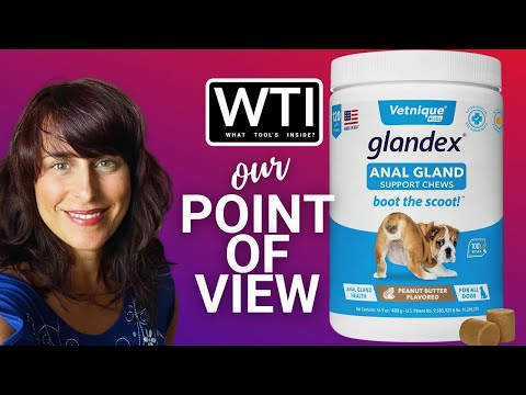 Glandex Anal Gland Soft Chew Treats - WTI product video review