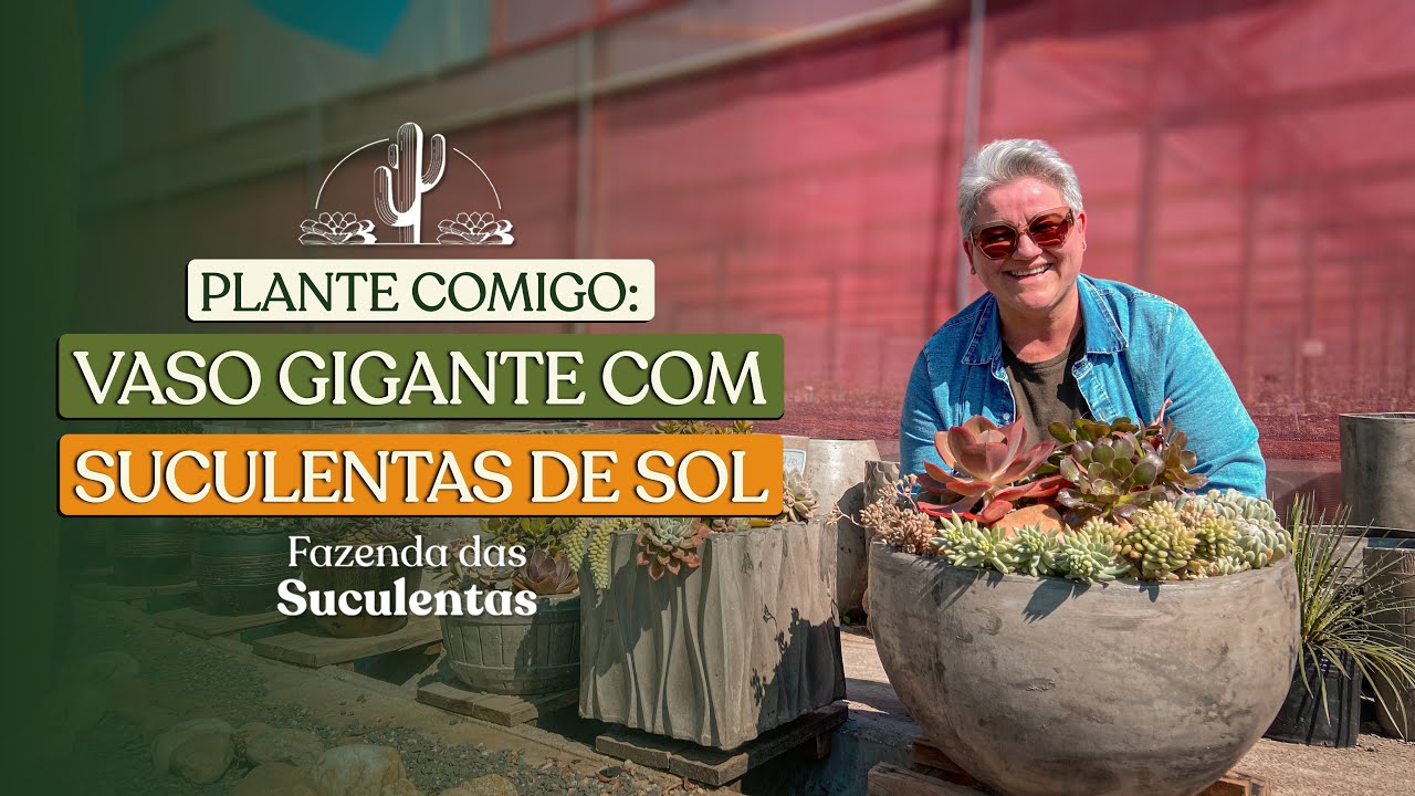 PLANTE COMIGO: VASO GIGANTE COM SUCULENTAS DE SOL