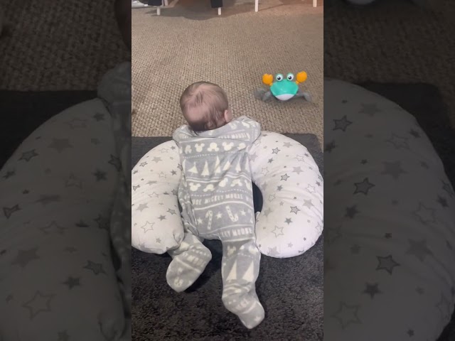 لعبة السلطعون الكهربائية-اختر لون المنتج اولاً (خا...