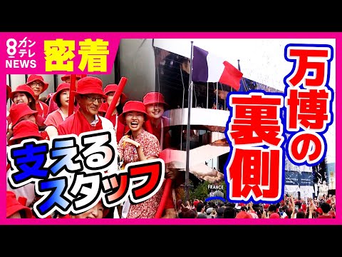 「参加国がやりたいことを実現させるのが私の100点」万博の縁の下の力持ち「カントリーマスター」 | 特集 | ニュース | 関西テレビ放送 カンテレ