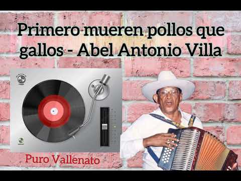 El gallo viejo - Abel Antonio Villa (Primero mueren pollos que gallos)