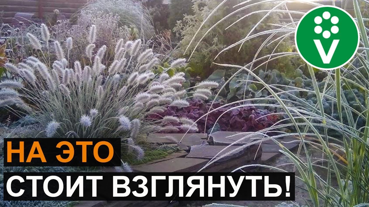 Процветок Интернет Магазин Официальный Сайт Весна 2023 Процветок Интернет Магазин Официальный Сайт Весна 2023