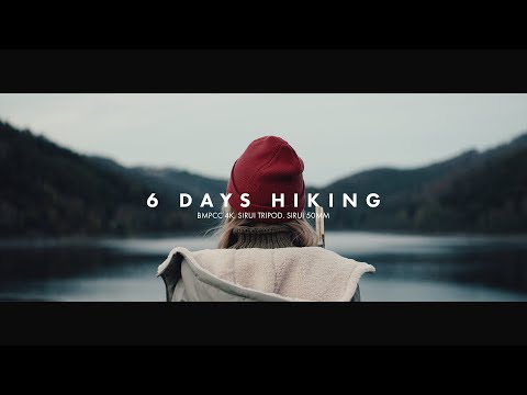 Sirui st-124+va-5 video