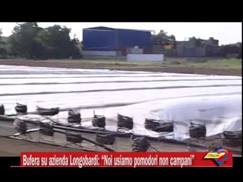 Bufera su azienda Longobardi: "Noi usiamo pomodori non campani"