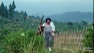 Download lagu Rhoma irama Zulfikar mp3