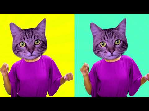 Northern Lite - We travel together