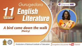 A bird came down the walk , Poetry - Grade 11 (English Literature)