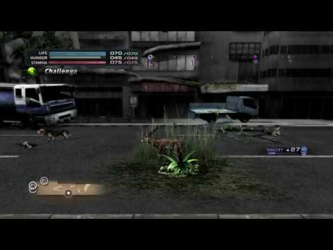 TOKYO JUNGLE: CAT'S VS DOG