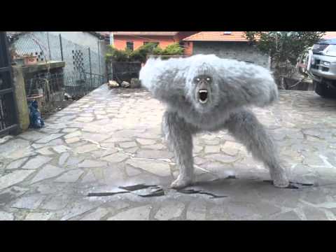 Lo yeti mi attacca