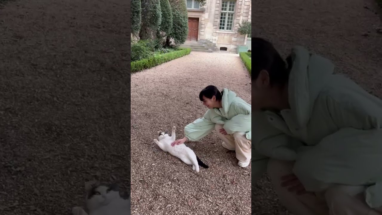 引き続き、フランスでの思い出動画。