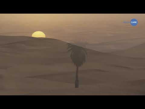 AUTOUR DE L'ORIENT - Kad Achouri - U Sequence by Music Care