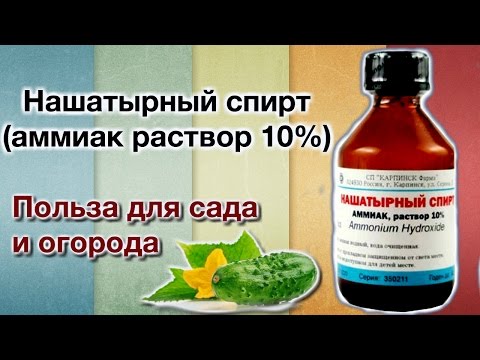 Белый лен крем ночной отбеливающий с витамином с Пигментные пятна помидор