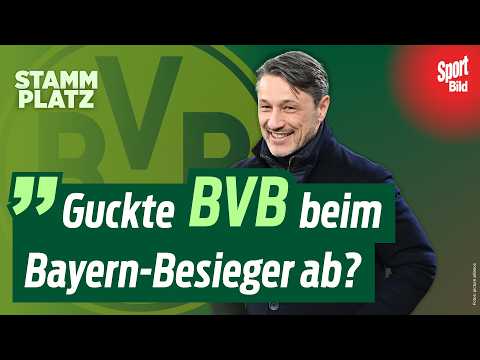 4:0 gegen Mainz! BVB mit Arsenal-Taktik zum Heimsieg! Nagelsmann beendet TW-Debatte! | Stammplatz