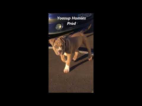 Man Friday - Love honey love heartache ( HQ )