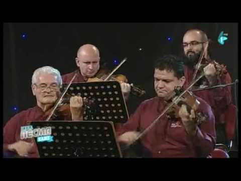 Nemanja Guzijan - Pošla mi Trojanka na vodu