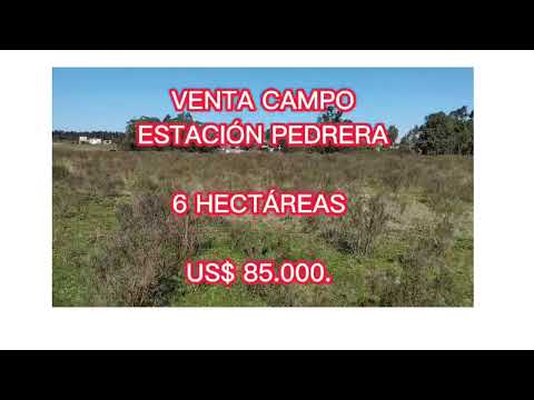 SE VENDE CAMPO  6 HECTÁREAS ESTACIÓN PEDRERA - CANELONES