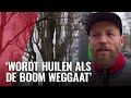 Buurt teleurgesteld over kap boom van tachtig jaar oud