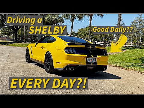 Can You Daily Drive a SHELBY GT350?!