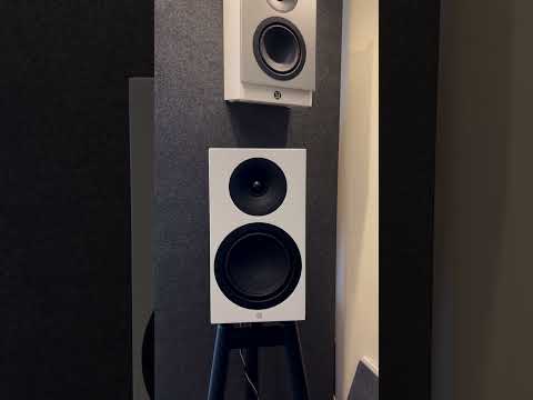 System Audio Legend 5 Speakers at the UK HiFi Live Show 2024