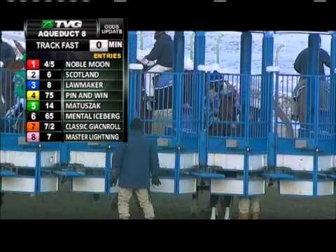 TVG 2014 Jerome Stakes Coverage
