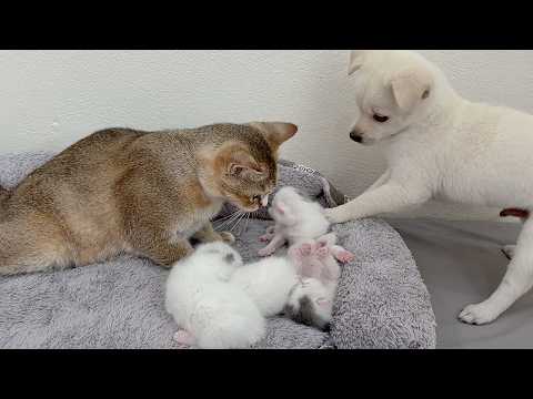 YouTube 썸네일