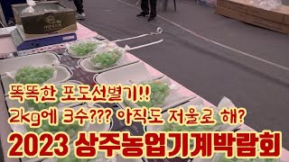 2023 상주농업기계박람회!! 포도선별 2kg 한박스 3수 4수? 저울로 하시나요?? 여기 똑똑한 포도 선별…