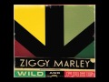 Ziggy Marley - "Forward to Love" | Wild and Free