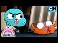 Darwin Is Under Attack The One Gumball Cartoon Network