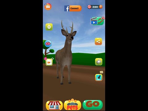Running Pets