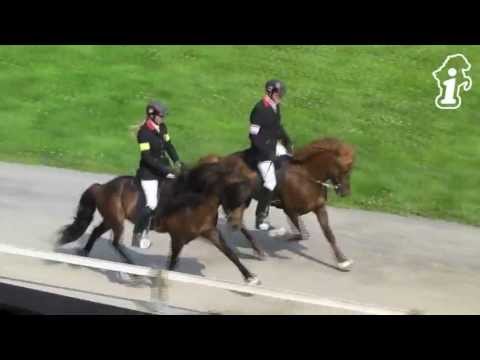 DIM 2013 - F1-Finale - www.isibless.de