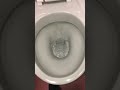 Armitage Shanks toilets at a Soft Play
