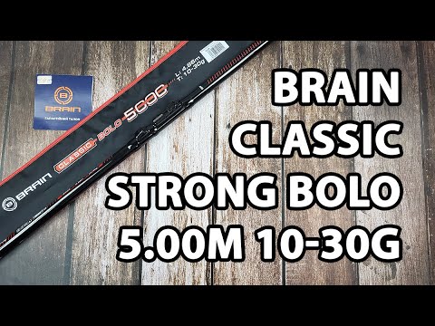 Вудлище болонське Brain Classic Strong Bolo 5.00m 10-30g (телескопічне, з кільцями) + чохол та захист на кільця