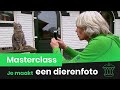 Dierenfoto maken! ?? | Klokhuis Masterclass