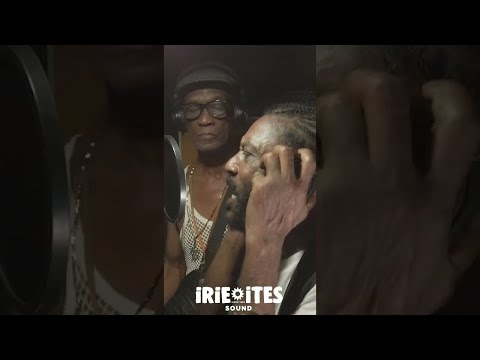 Irie Ites x U Brown & Jr Cat - Special (Dubplate) Shorts