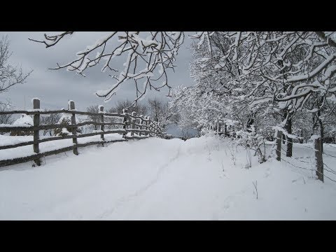 Valea Roatei Runcu Mic