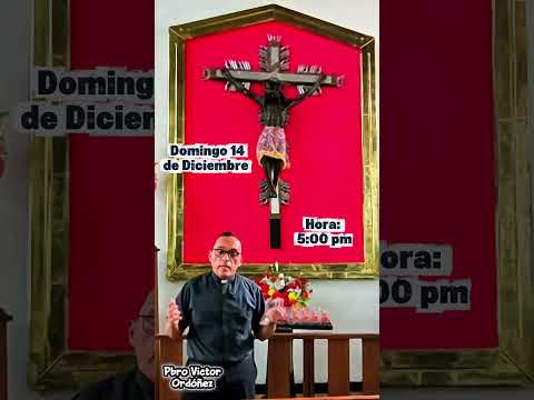 Fiesta en Honor al Señor de los Milagros/ Domingo 12 de Diciembre #videoshort #parroquiasanvicentede