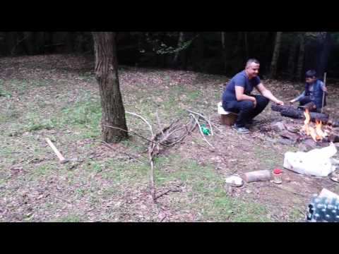 Deal Alba , la stupatură la Doru Dura