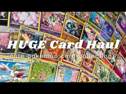 My Biggest Cute Pokémon Card Haul Ever! (So Many Cute Cards)