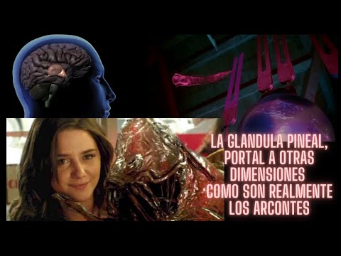 La glándula pineal es la puerta a otras dimensiones y como son las entidades parasitarias realmente
