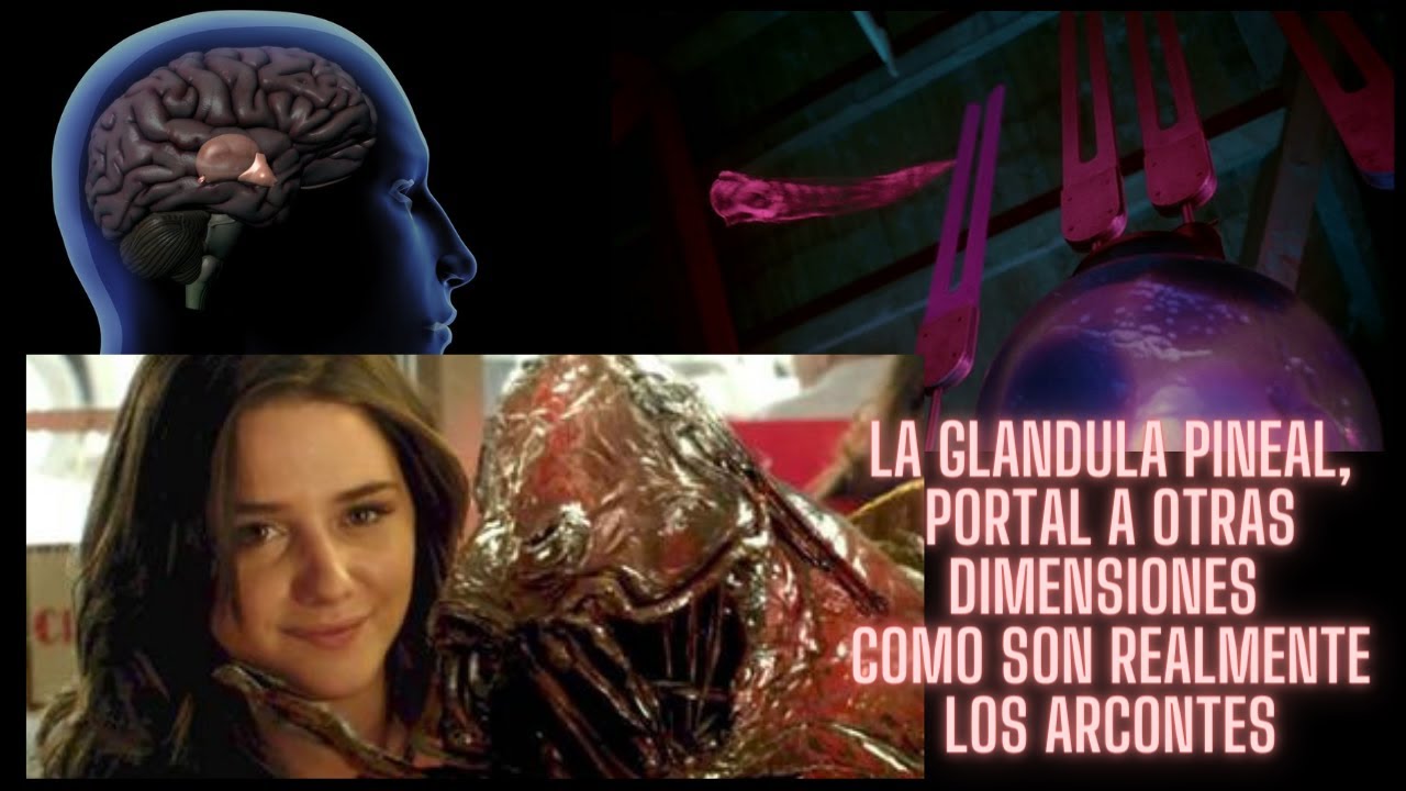 La glándula pineal es la puerta a otras dimensiones y como son las entidades parasitarias realmente