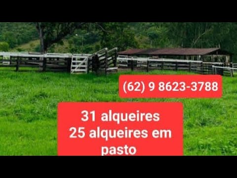 Fazenda em Uruaçu Goiás - 62 9 8623 3788 Guilherme CF 36.567 