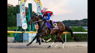 【佐賀競馬】第36回 九州ジュニアチャンピオン（2025.9.15）