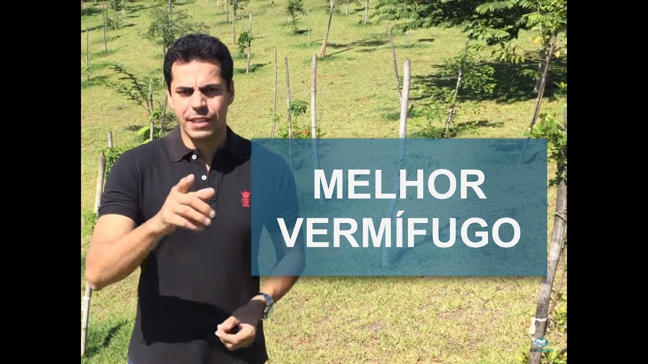 QUAL O MELHOR VERMÍFUGO DO MERCADO?