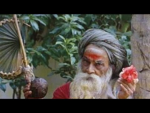 #485- Father's Work Hidden In A Leela ! | Devotees Experiences | Yogi Ramsuratkumar | 16-12-21