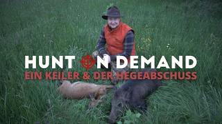 Ein Keiler &amp; der Hegeabschuss 🐗 von @copterpro10