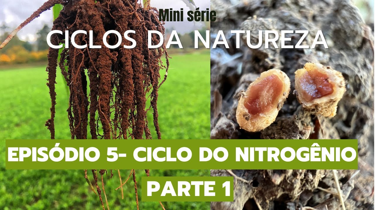 Mini série - CICLOS DA NATUREZA - Episódio 5: CICLO DO NITROGÊNIO - PARTE 1.